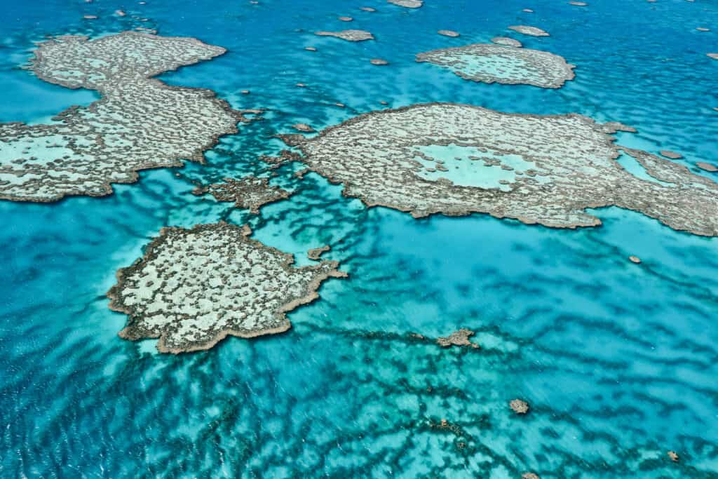 Büyük Set Resifi, Avustralya