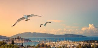 Bodrum Gezilecek Yerler