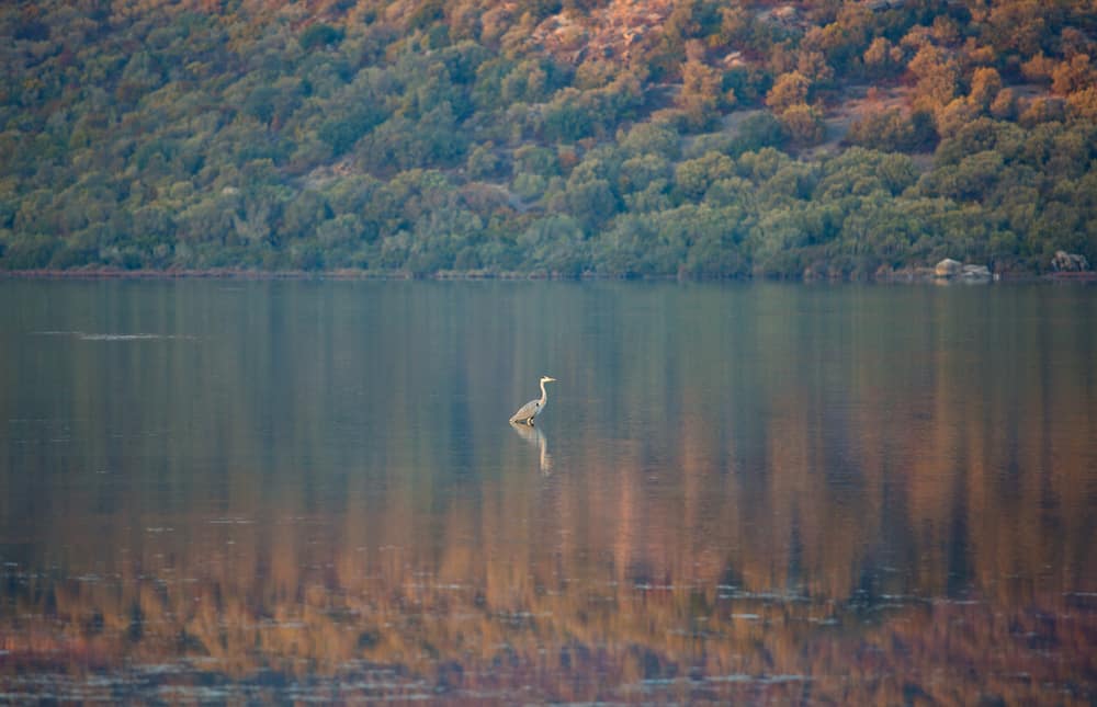 Bodrum Tuzla Kuş Cenneti