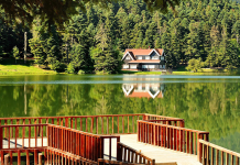 Doğadan İlham Alan Kent: Bolu Bolu