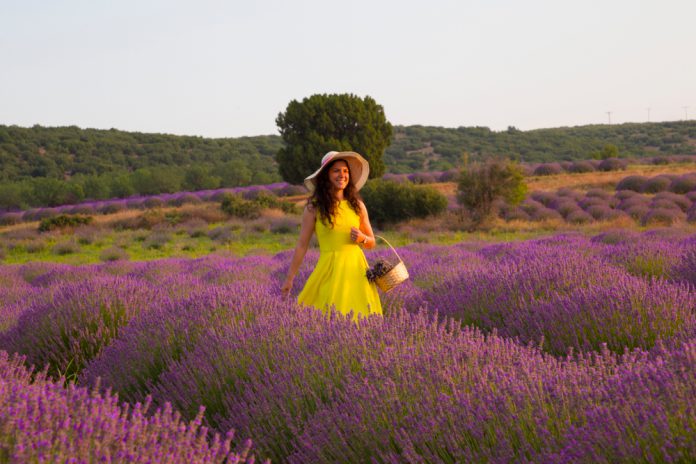 Isparta’nın Parlayan Yıldızı Lavanta Kokulu Köy: Kuyucak