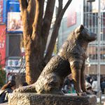 Hachiko