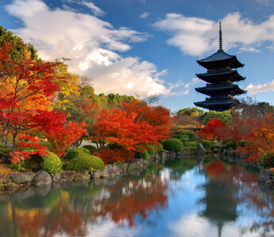 Japonya Nara’da Görülmesi Gereken 12 Yer Japonya Nara Gezilecek Yerler