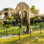 discovery park antalya