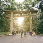 yoyogi parkı