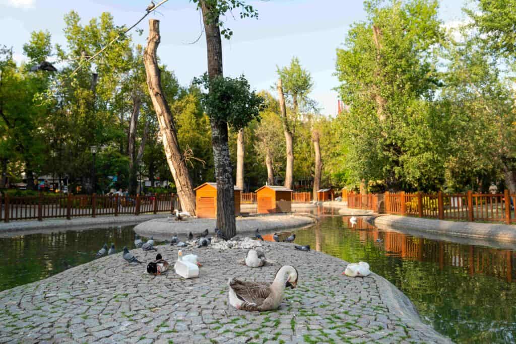 Kuğulu Park