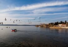 Bursa’nın Saklı Cenneti Gölyazı