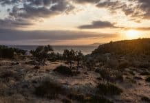 Dikili Gezilecek Yerler ve Ulaşım Rehberi