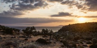 Dikili Gezilecek Yerler ve Ulaşım Rehberi