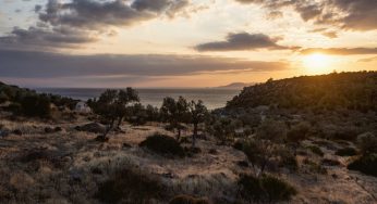 Dikili Gezilecek Yerler ve Ulaşım Rehberi