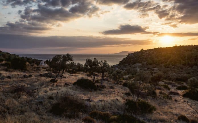 Dikili Gezilecek Yerler ve Ulaşım Rehberi