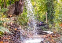 Maşukiye Seyahat Rehberi İstanbul'a Yakın Yerler Maşukiye
