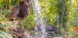 Maşukiye Seyahat Rehberi İstanbul'a Yakın Yerler Maşukiye
