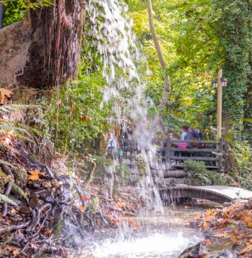 Maşukiye Seyahat Rehberi İstanbul'a Yakın Yerler Maşukiye