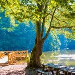 Yedigöller Milli Parkı