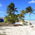 Jardines del Rey