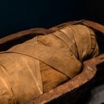 World Museum Egyptian Mummy