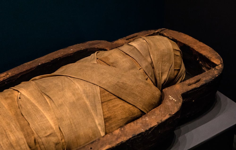 World Museum Egyptian Mummy