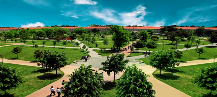 Yıldız Teknik Üniversitesi Ulaşım Rehberi