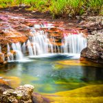 Cano Cristales