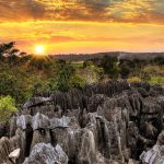 Tsingy de Bemaraha