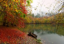 Bolu Gölleri Yedigöller Bolu