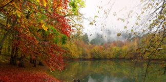 Bolu Gölleri Yedigöller Bolu