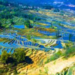 Yuanyang Rice Terraces