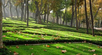 İstanbul’un En Güzel 16 Parkı