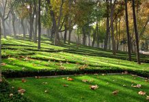 İstanbul’un En Güzel 16 Parkı Gülhane Parkı, İstanbul