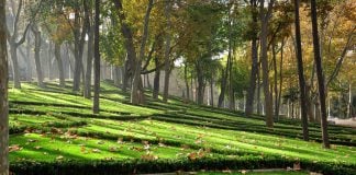 Gülhane Parkı, İstanbul