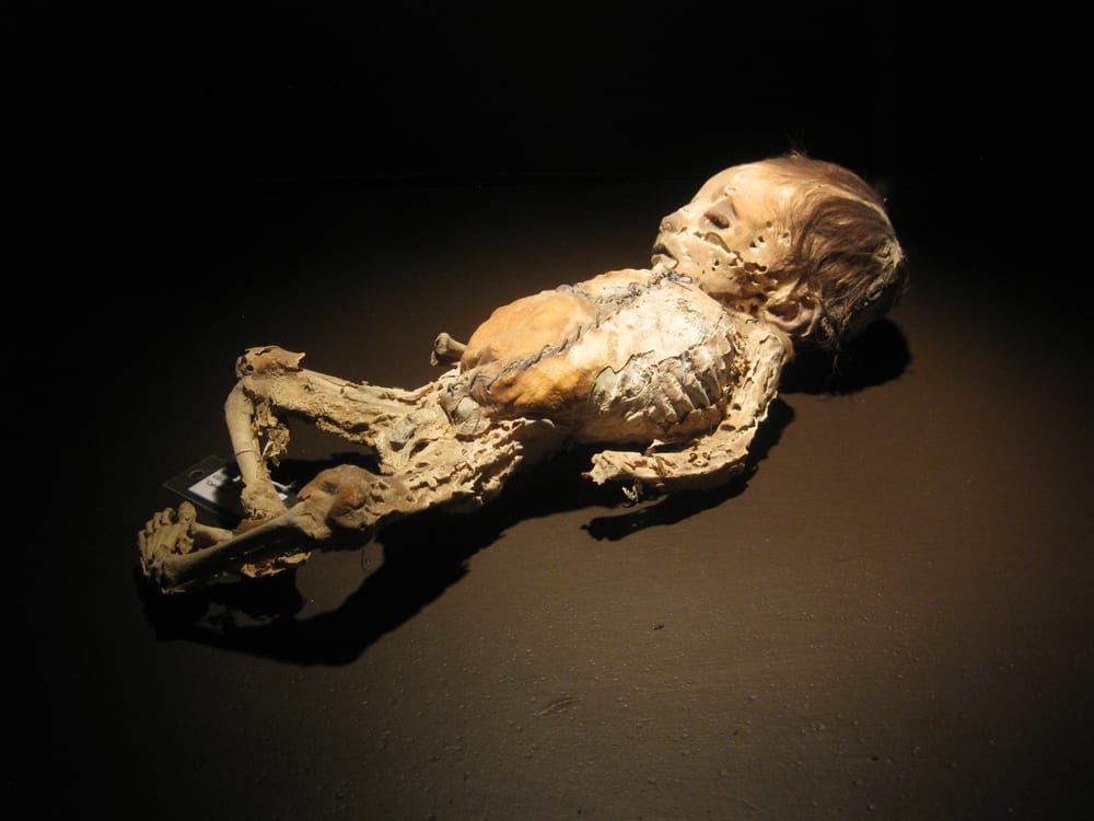 The Mummy Museum (Mumya Müzesi), Guanajuato, Meksika