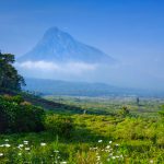 Virunga Dağları