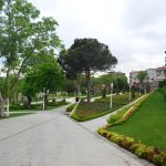 Yıldız Parkı Korusu