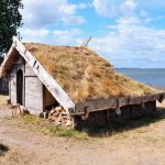 Viking Evi