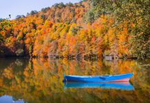 Bolu’da Ne Yenir? Bolu’nun En Güzel Yemek Mekanları