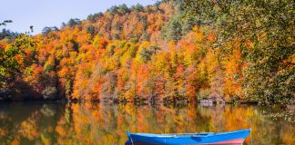 Bolu’da Ne Yenir? Bolu’nun En Güzel Yemek Mekanları