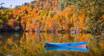 Bolu’da Ne Yenir? Bolu’nun En Güzel Yemek Mekanları
