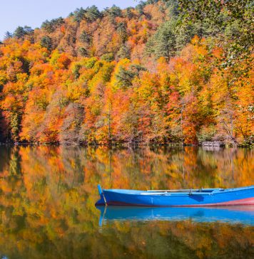 Bolu’da Ne Yenir? Bolu’nun En Güzel Yemek Mekanları
