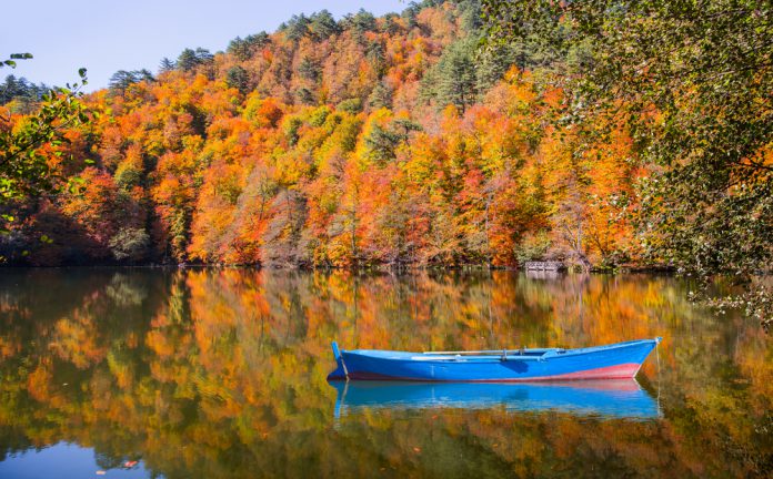 Bolu’da Ne Yenir? Bolu’nun En Güzel Yemek Mekanları