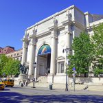 American Museum of Natural History