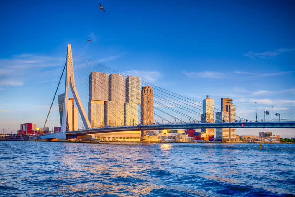 Erasmus Köprüsü Rotterdam