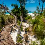 Whitehaven Plajı, Whitsunday Adası, Avustralya