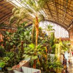 Atocha Tren İstasyonu, Madrid, İspanya