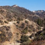 Runyon Kanyon Parkı Los Angeles