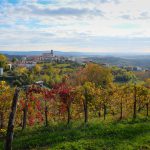 Goriska Brda İtalya-Slovenya