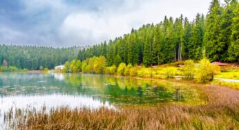 Artvin Kamp Alanları