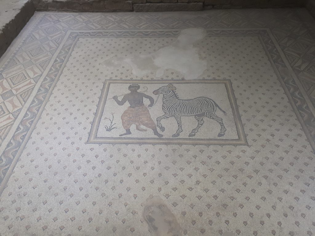 Mozaik Müzesi hizmetkar ve zebra