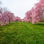 Fairmount Park, Philadelphia, Amerika Birleşik Devletleri