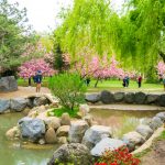 Herastrau Park, Bükreş, Romanya